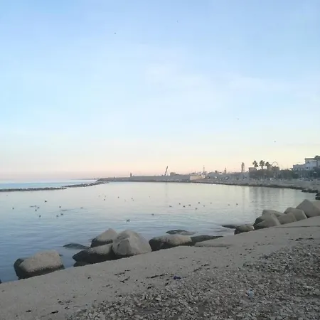 Chimera Oda ve Kahvaltı Bari